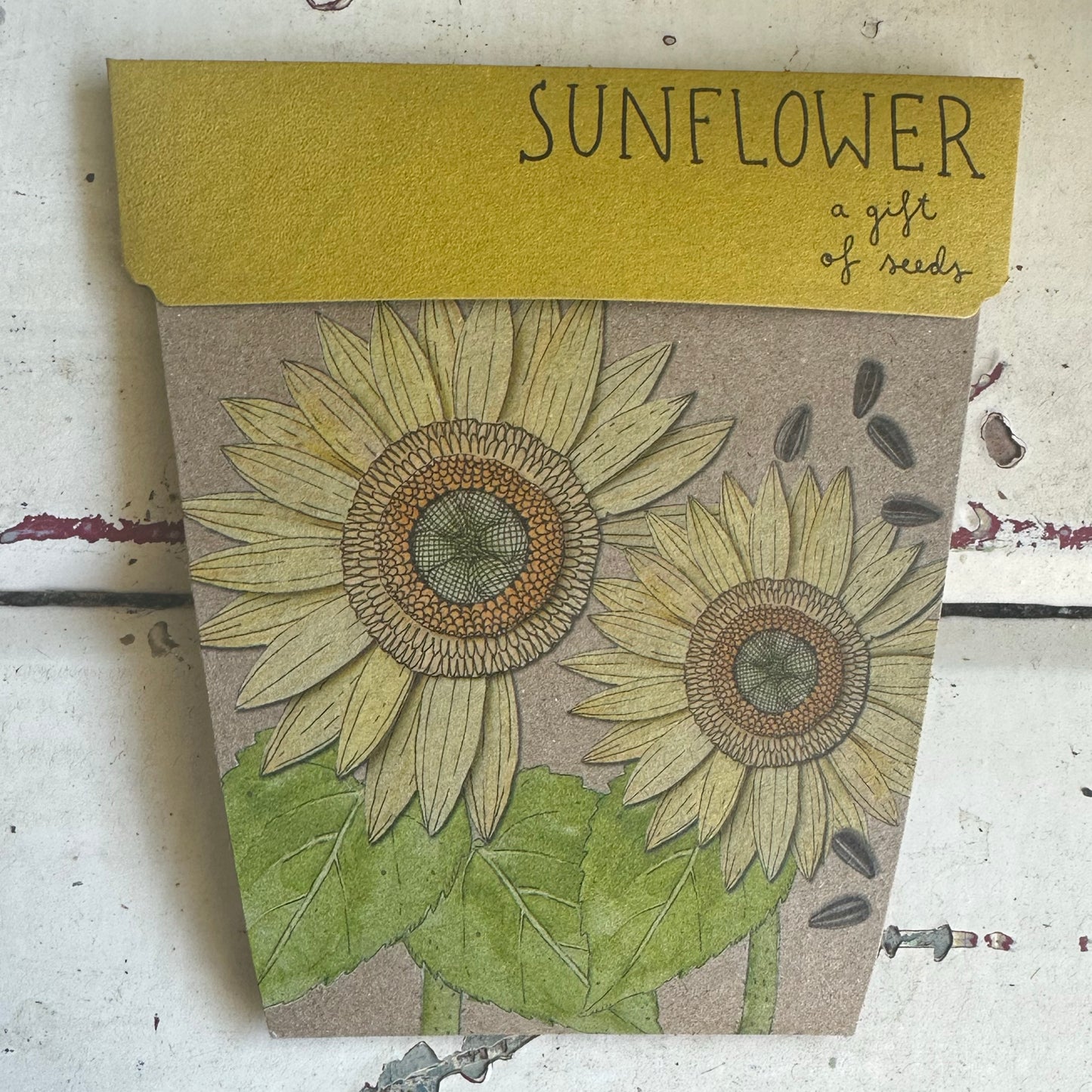 Gift of Seeds Packet