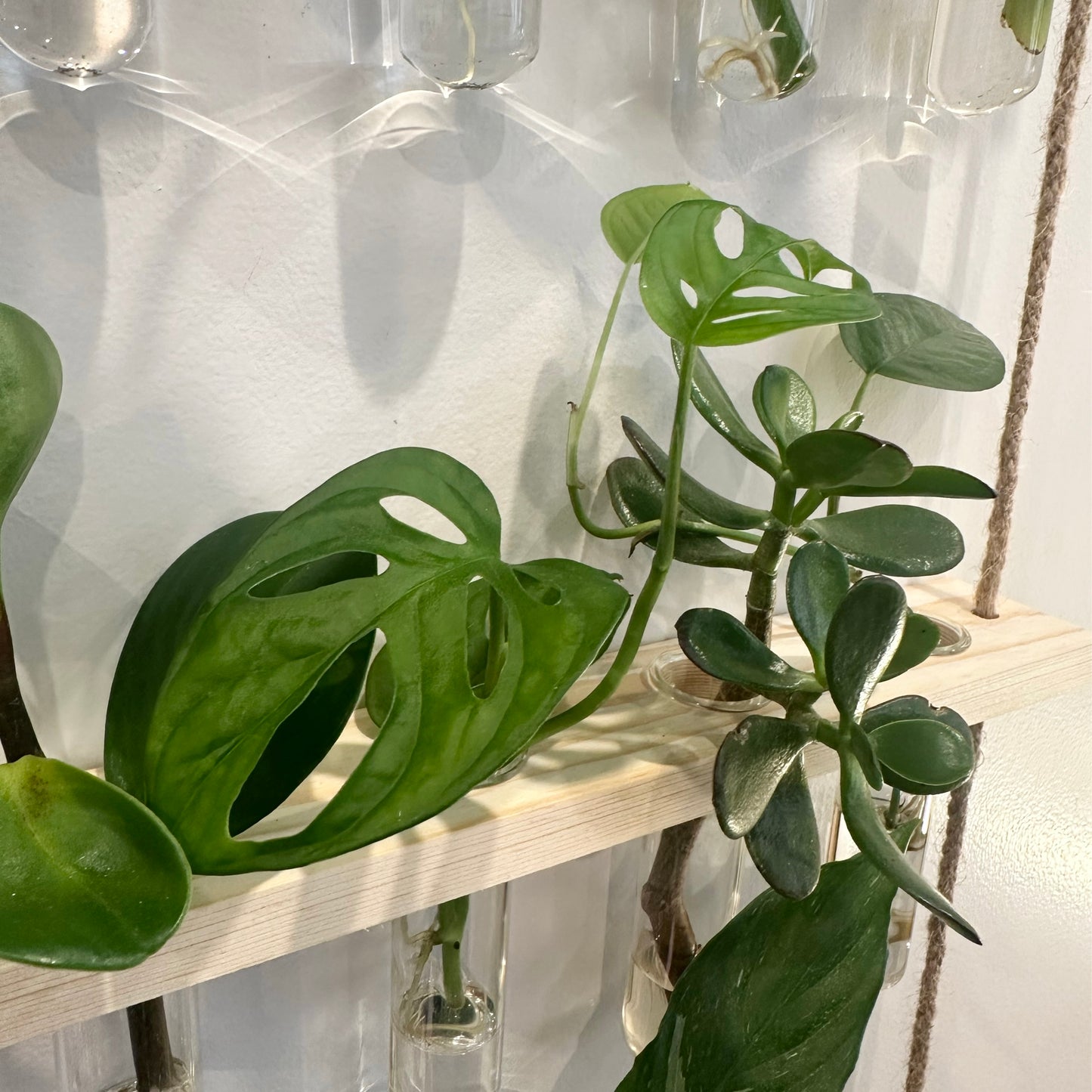 Hanging Propagation Station