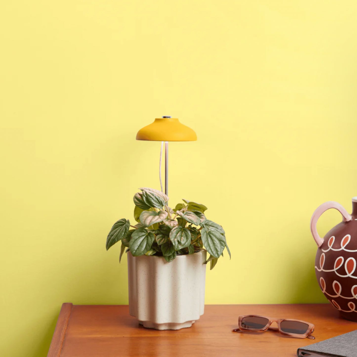 Instant Grow Sun Lamp