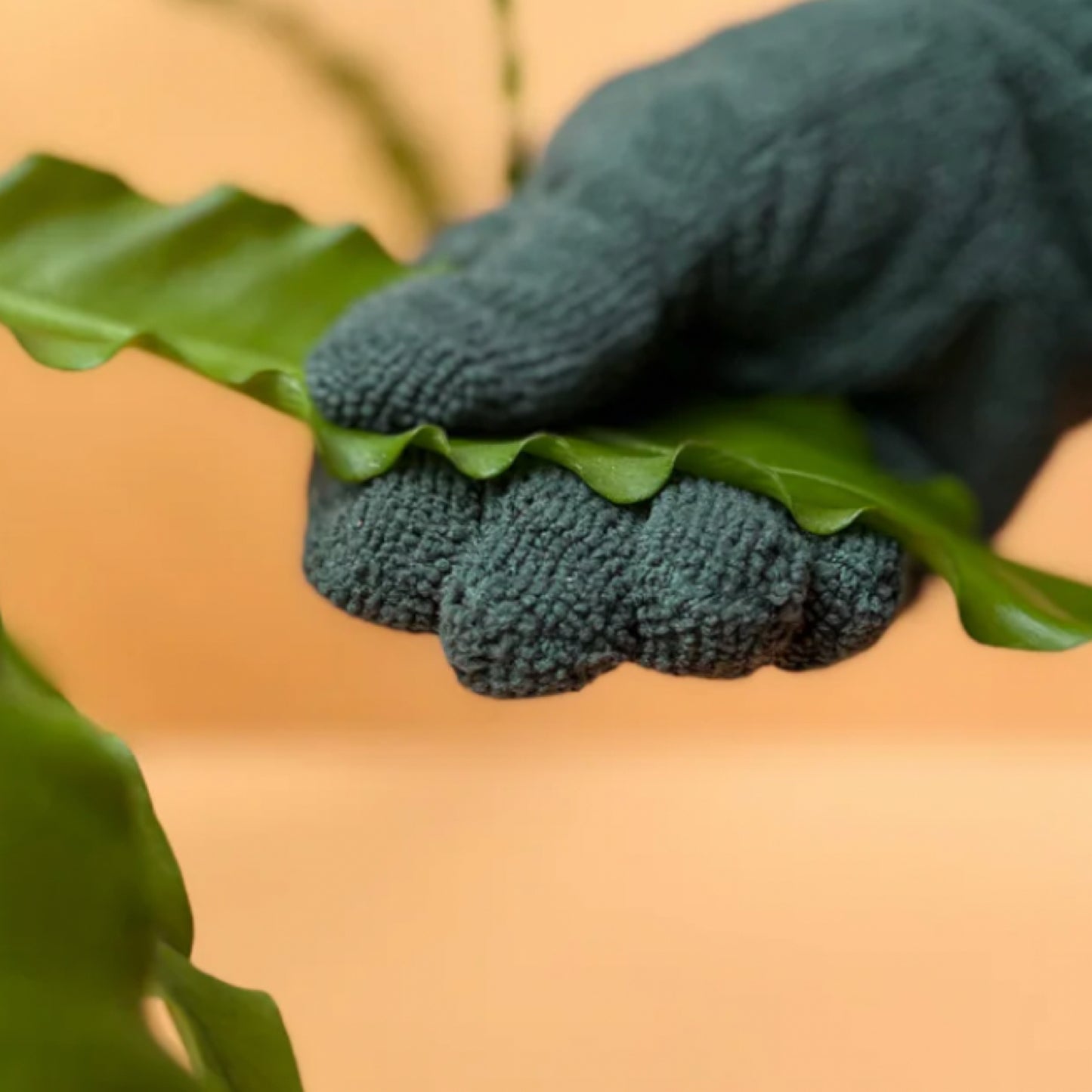 Leaf Cleaning Gloves