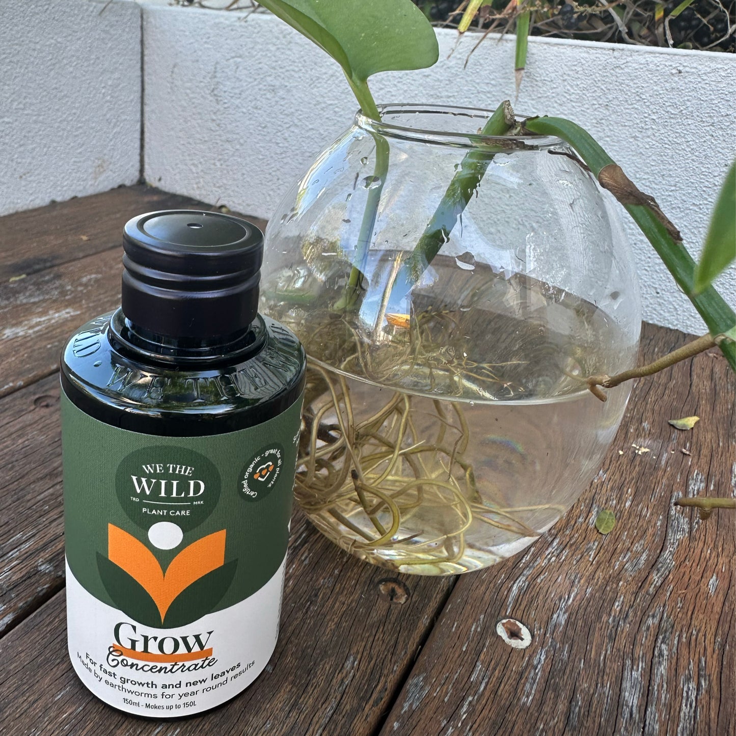 Grow Concentrate Liquid Plant Food