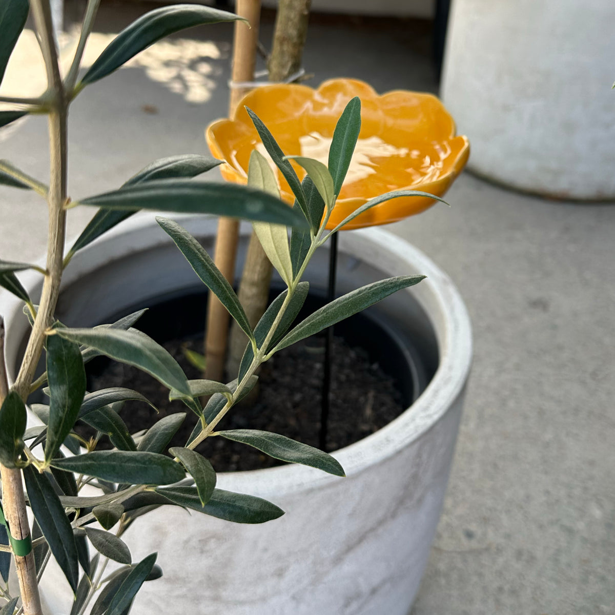 Flower Bird/Bee Bath Stakes