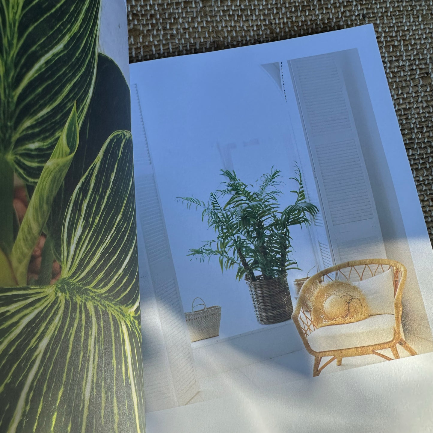 Life & Style: The Coastal Home