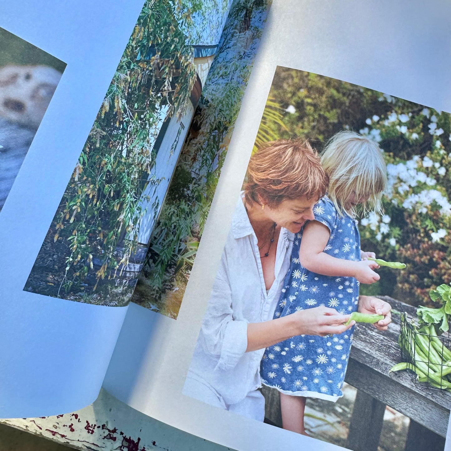 The Good Farm Cookbook