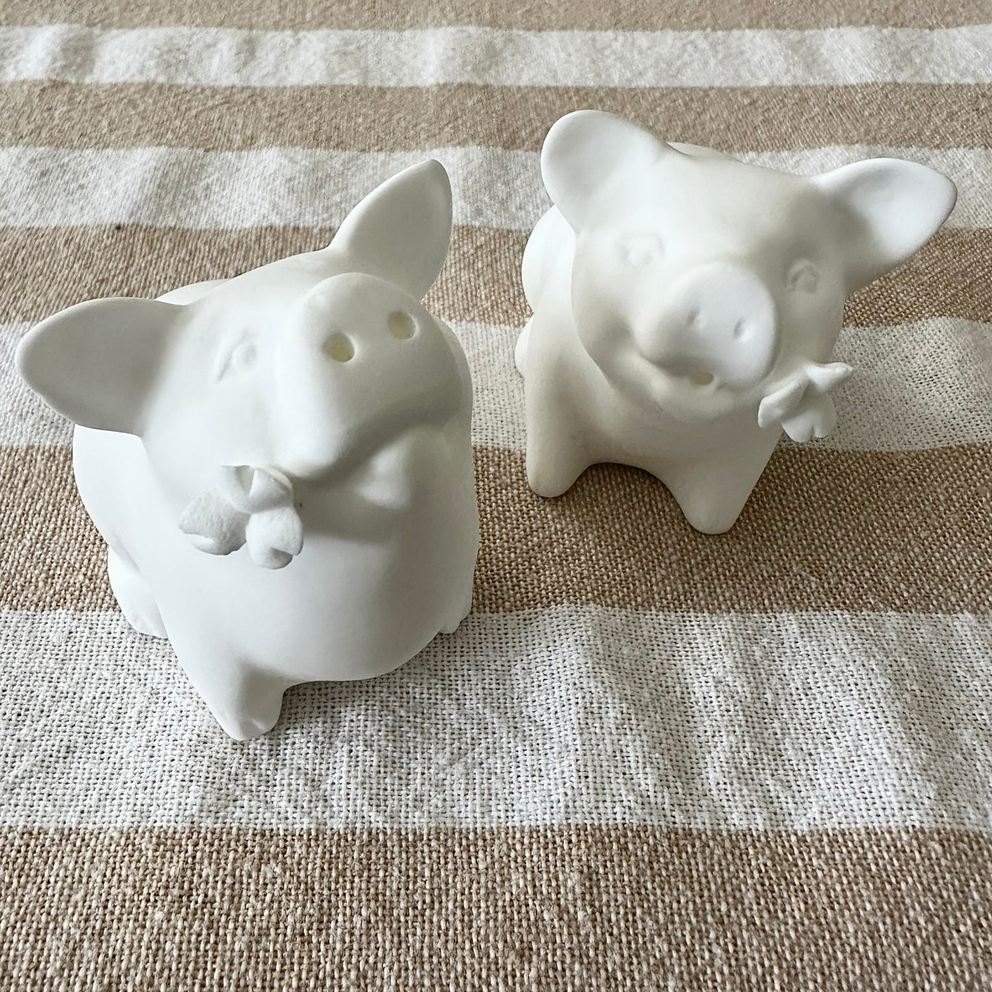 Sizzle and Spice Shakers