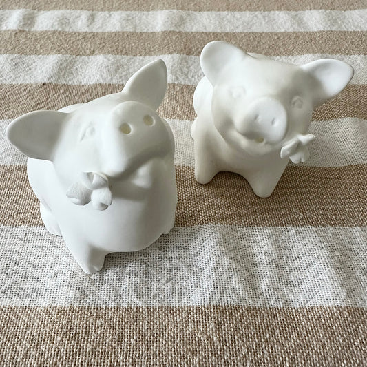 Sizzle and Spice Shakers