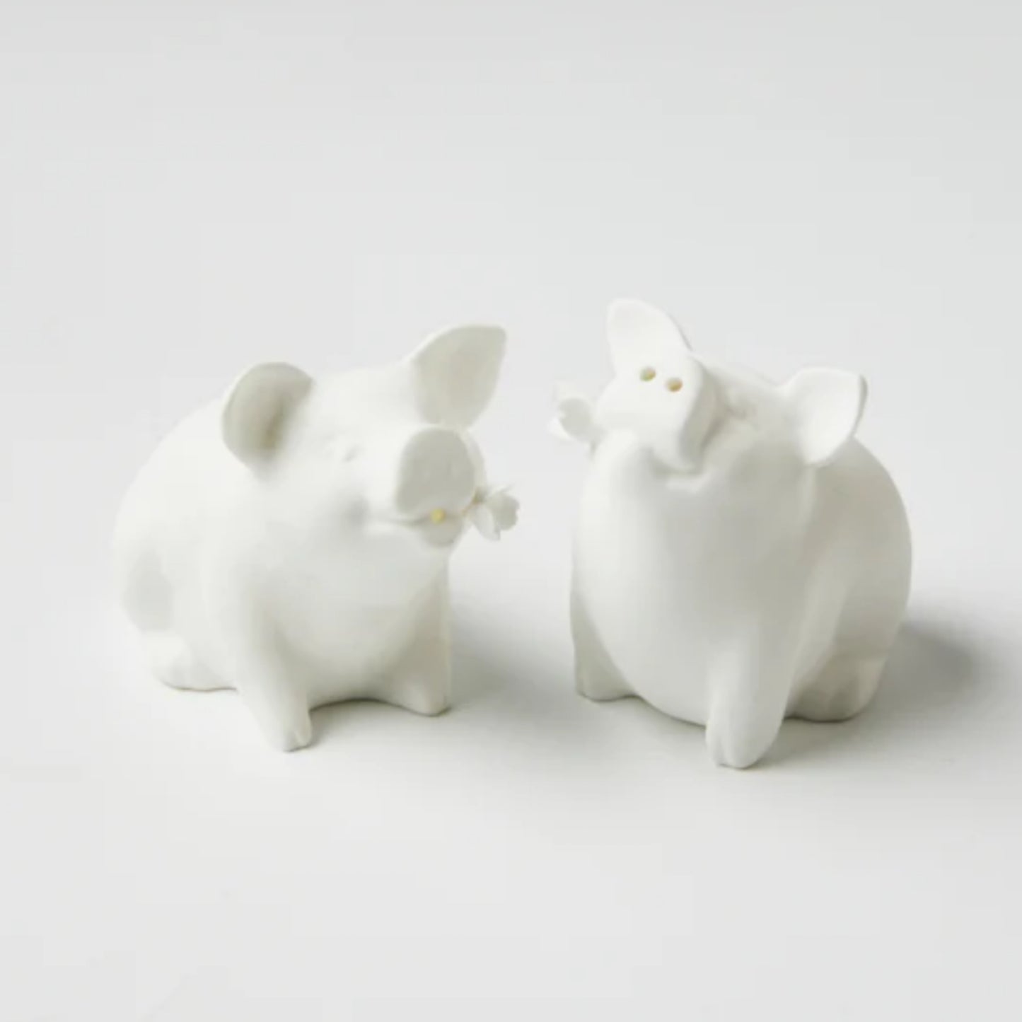 Sizzle and Spice Shakers