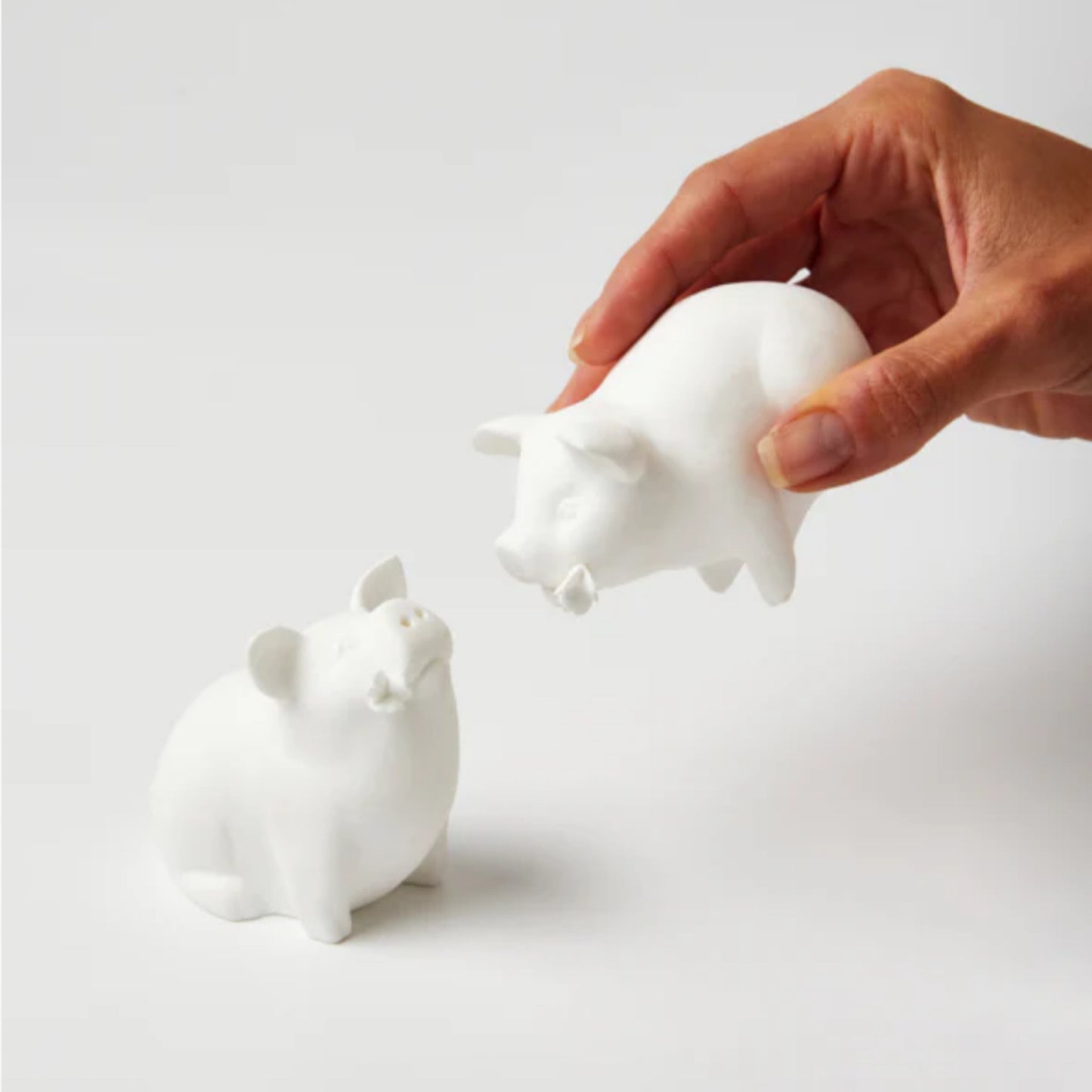 Sizzle and Spice Shakers