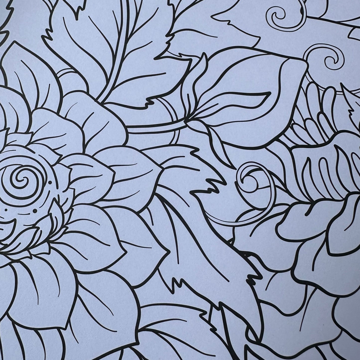 Botanicals - Creative Colouring