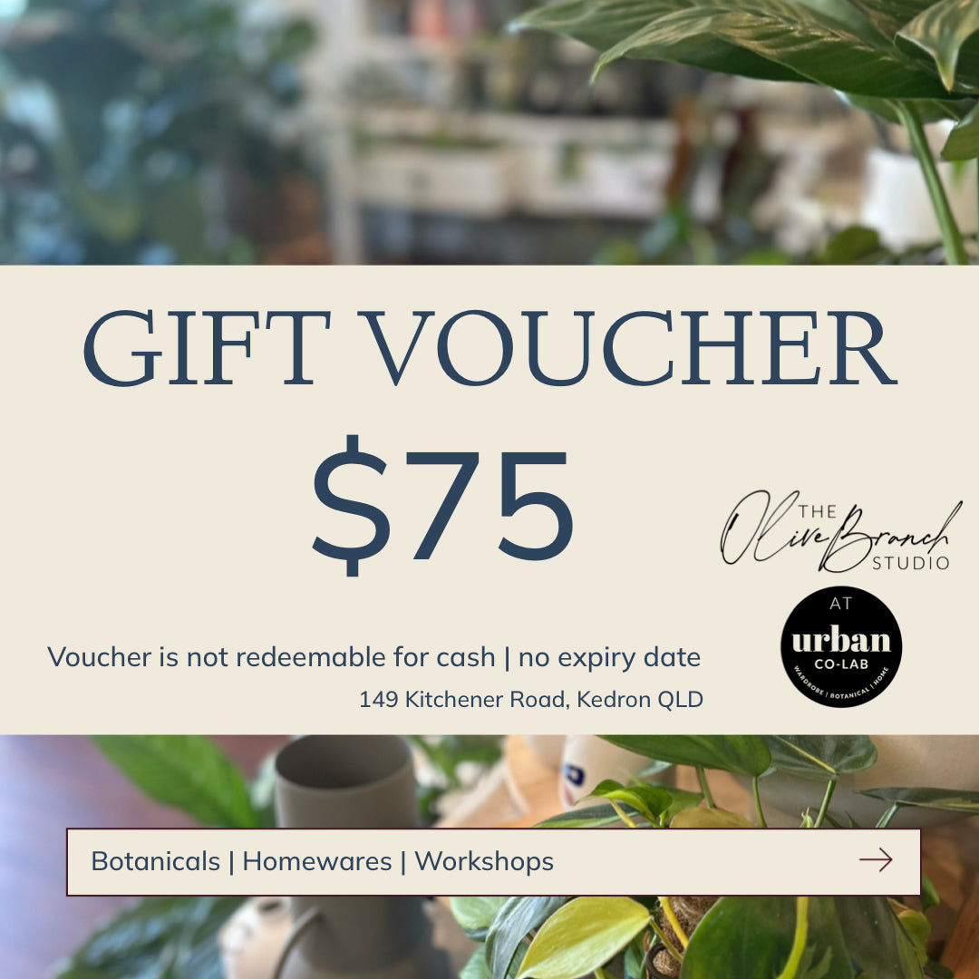 The Olive Branch Studio GIFT VOUCHER