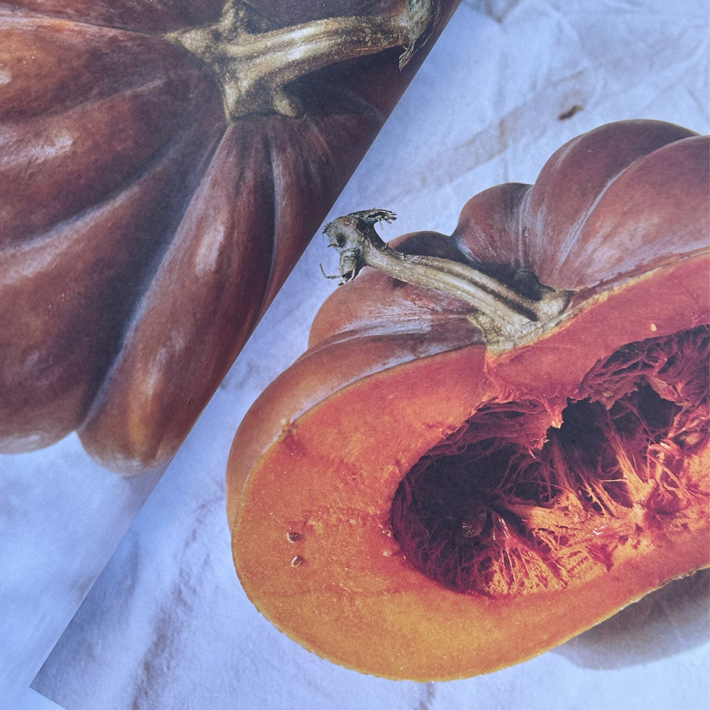 Good Cooking Everyday