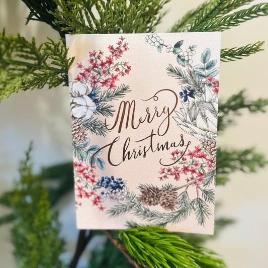 Christmas Bush (Cream)