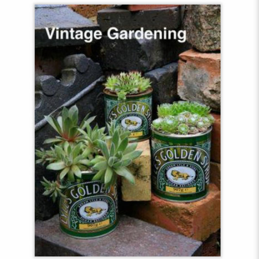 Vintage Gardening