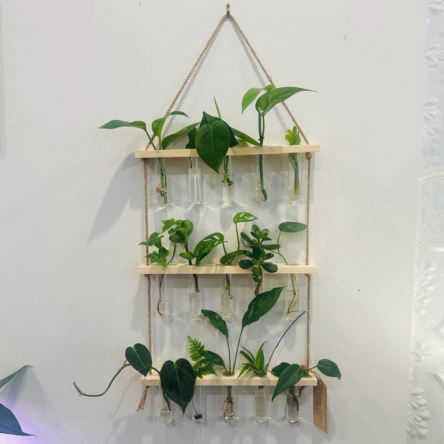 Hanging Propagation Station