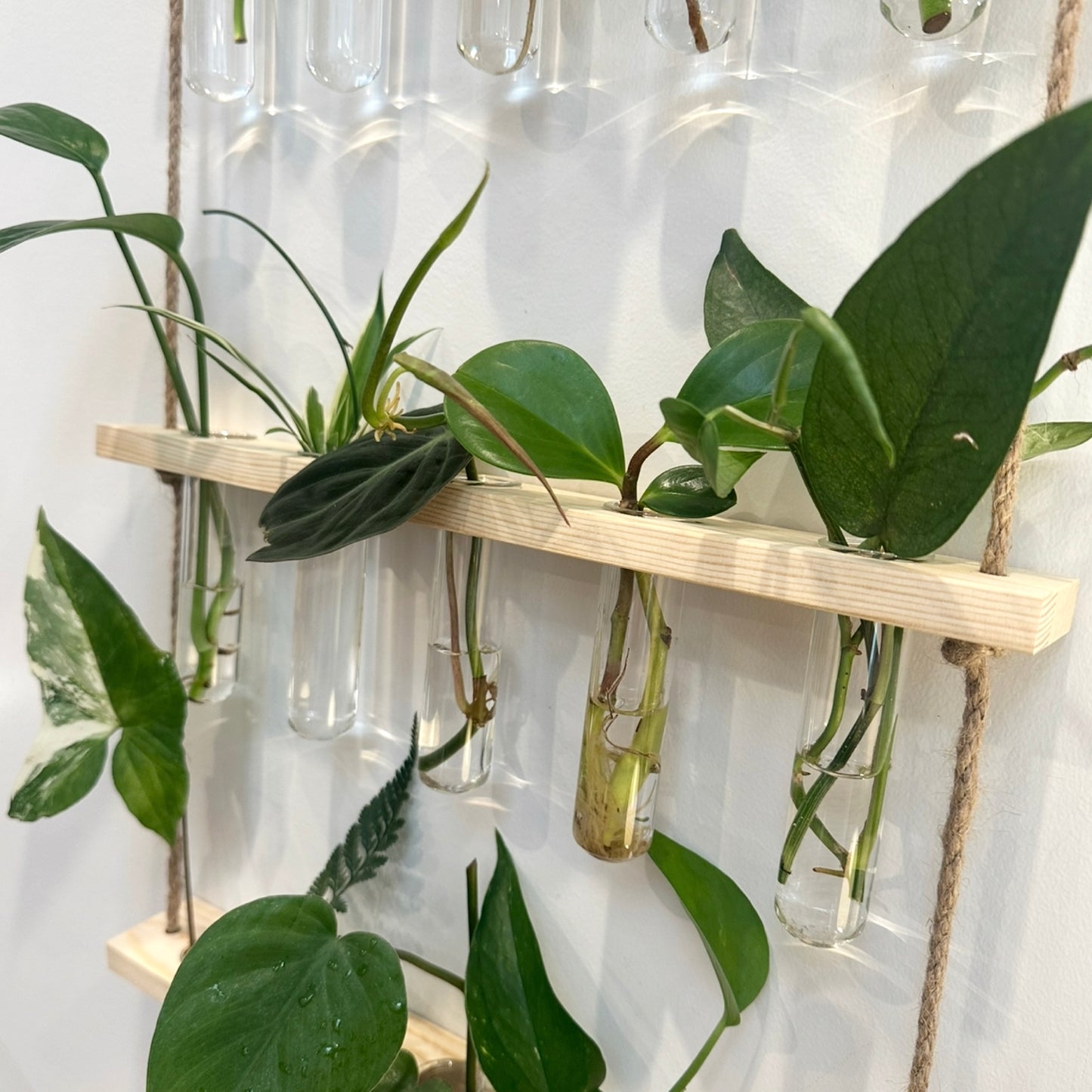 Hanging Propagation Station