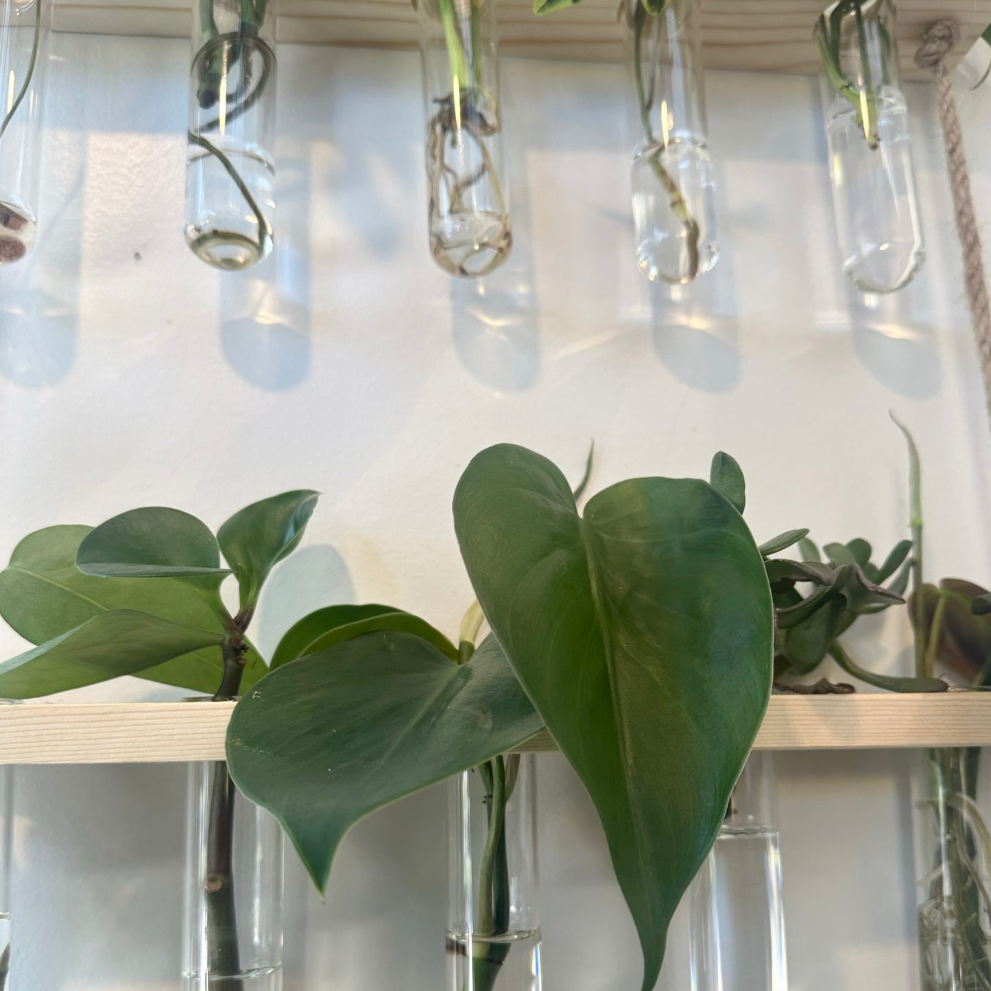 Hanging Propagation Station