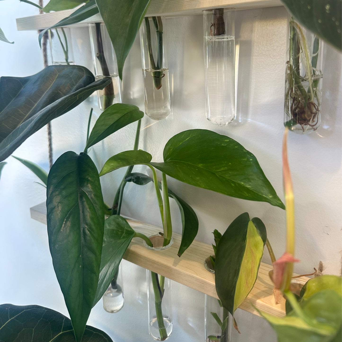 Hanging Propagation Station