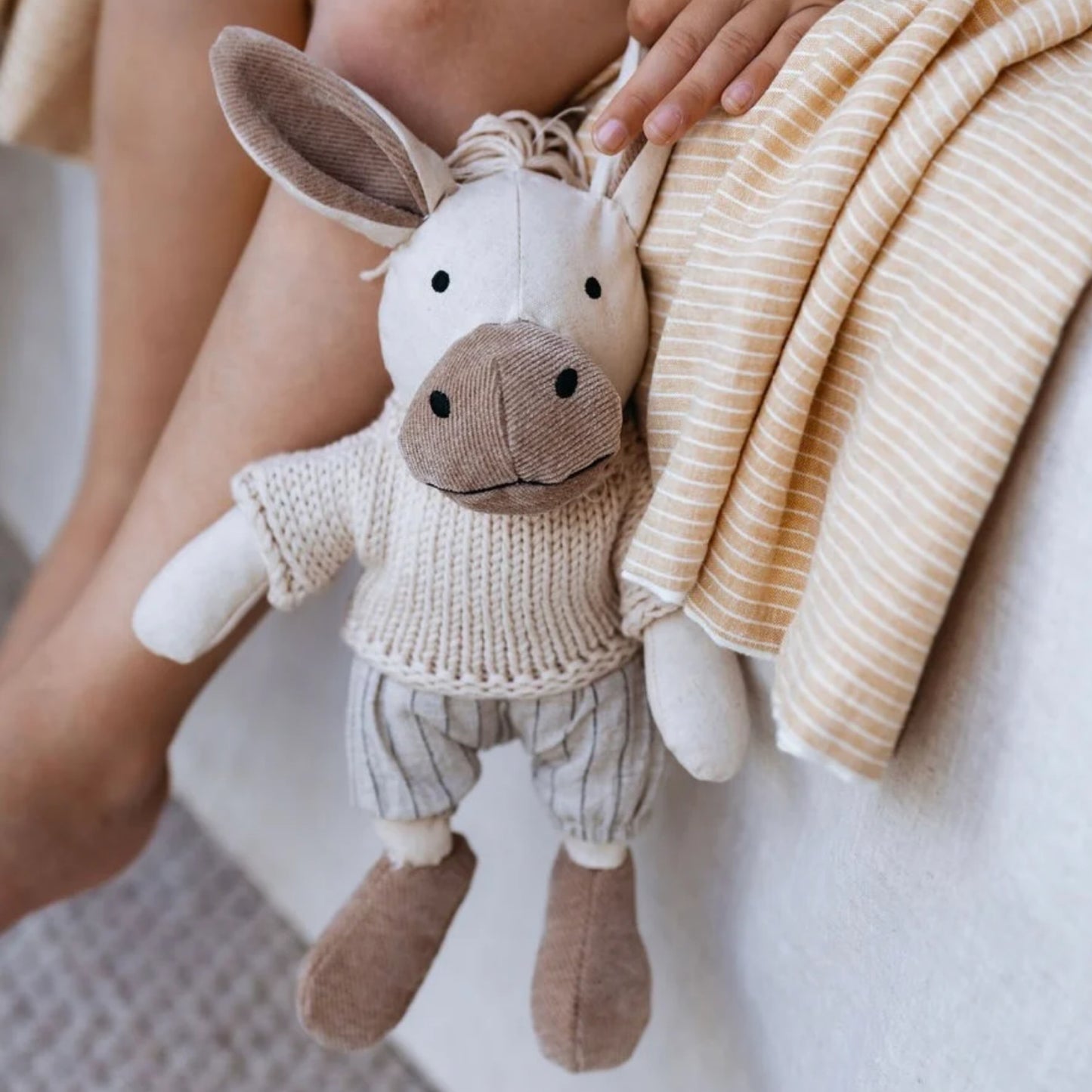 Cedric Donkey
