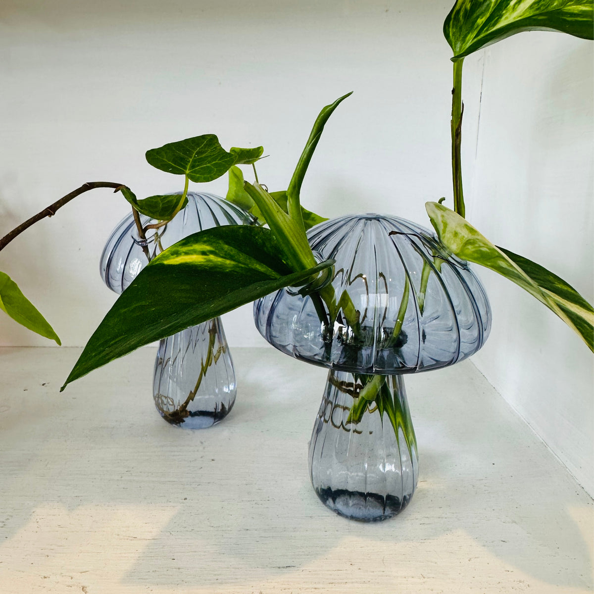 Glass Mushroom Vase with Propagated Stem