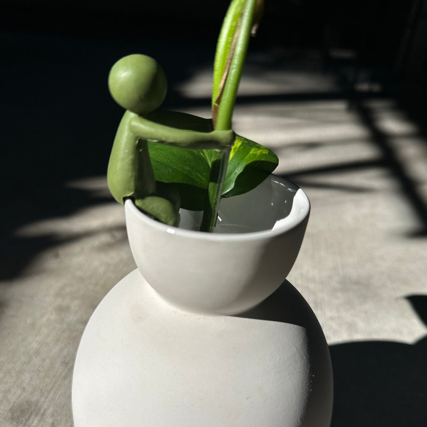 Plant Support Buddy