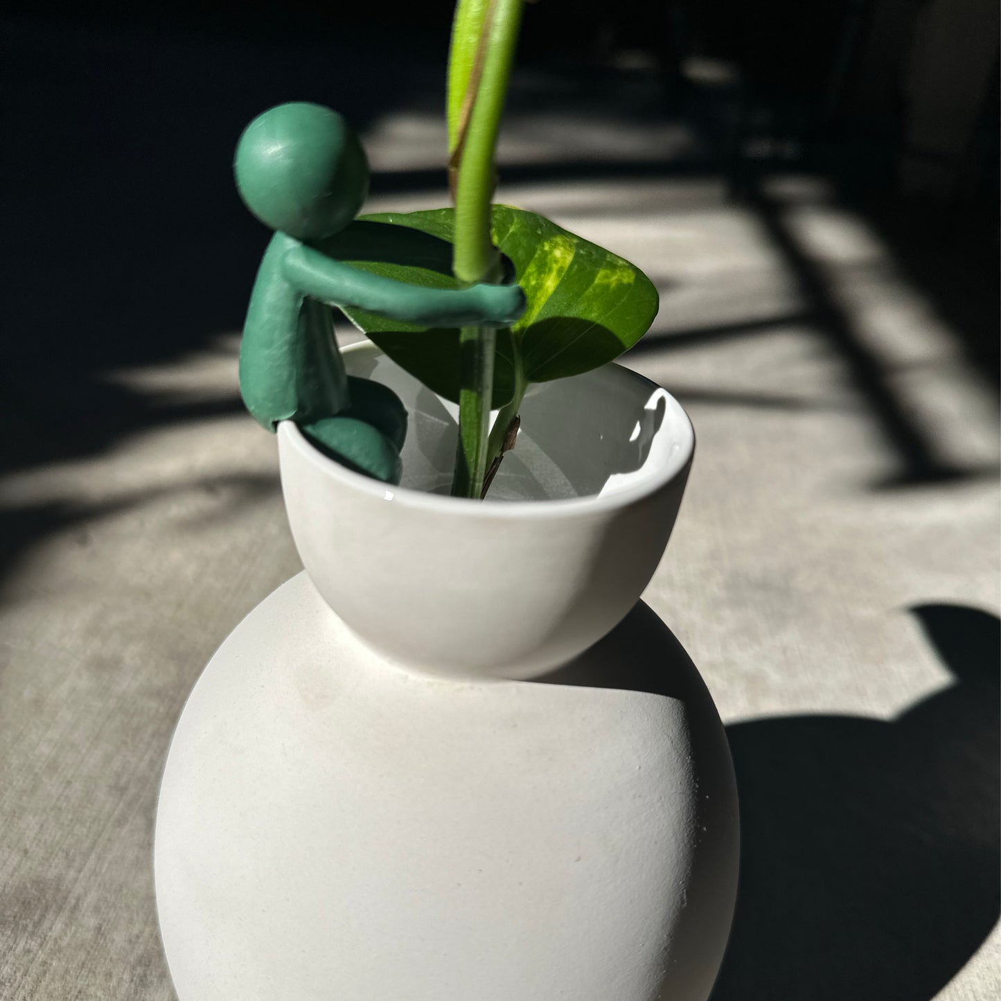 Plant Support Buddy