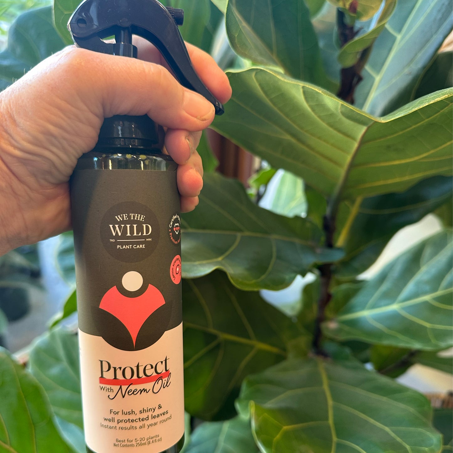 Protect Organic Plant Spray (with Neem Oil)