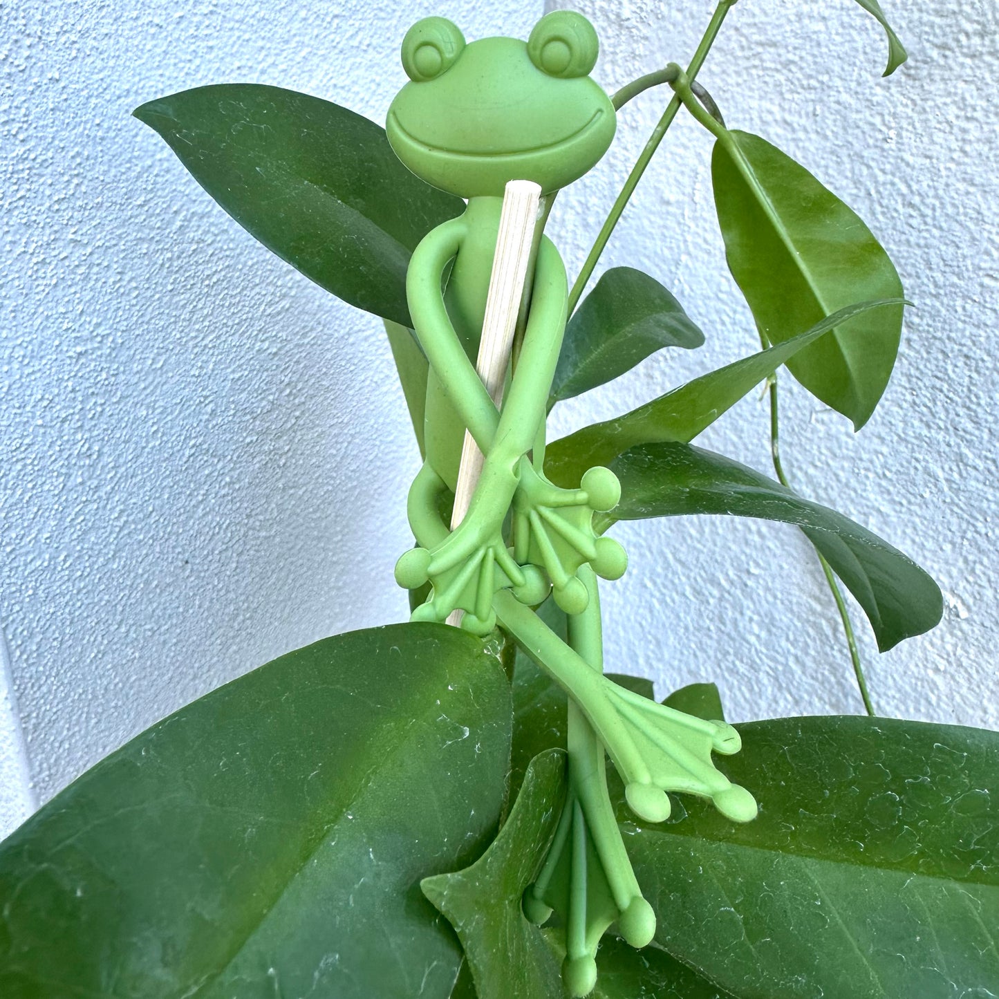 Green Frog Plant Stake Twist Tie