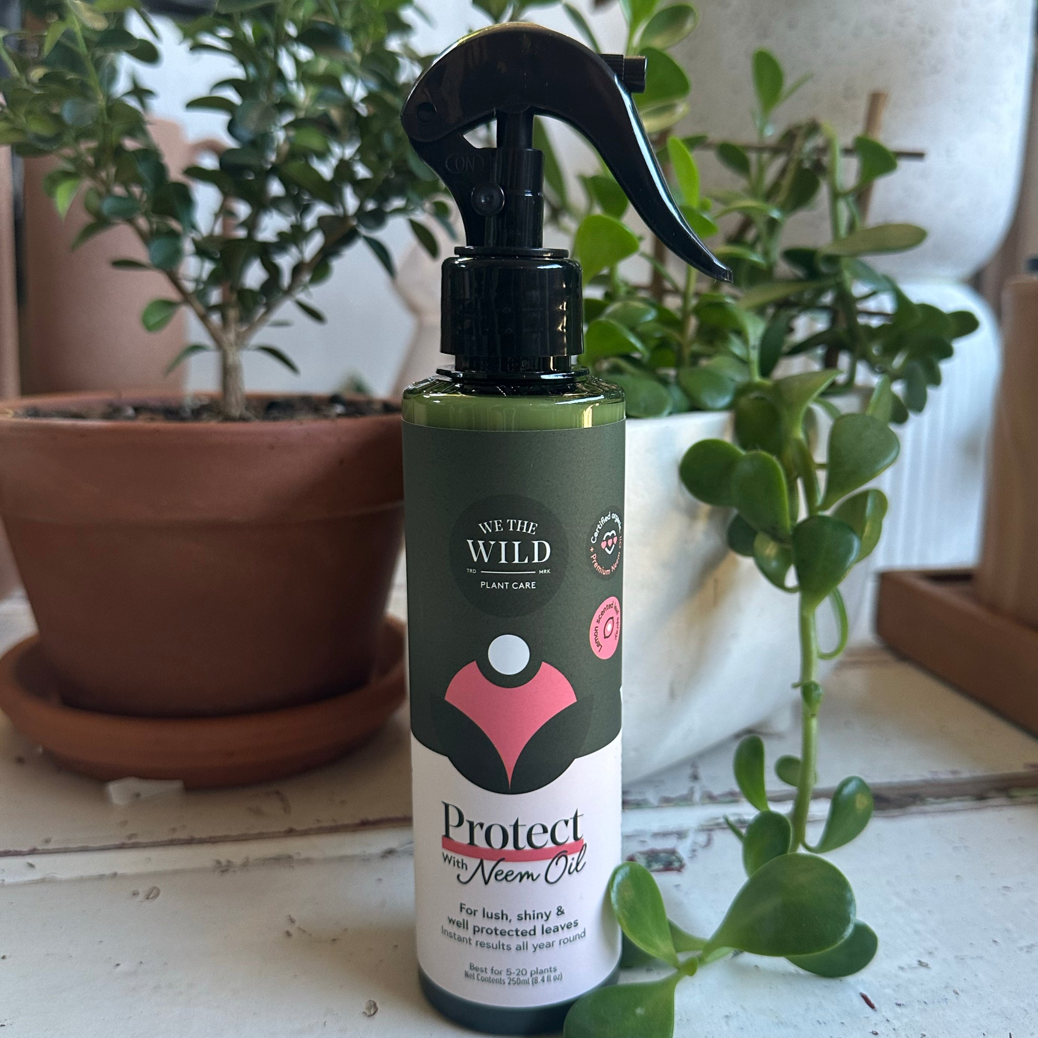 Protect Organic Plant Spray (with Neem Oil) – The Olive Branch Studio