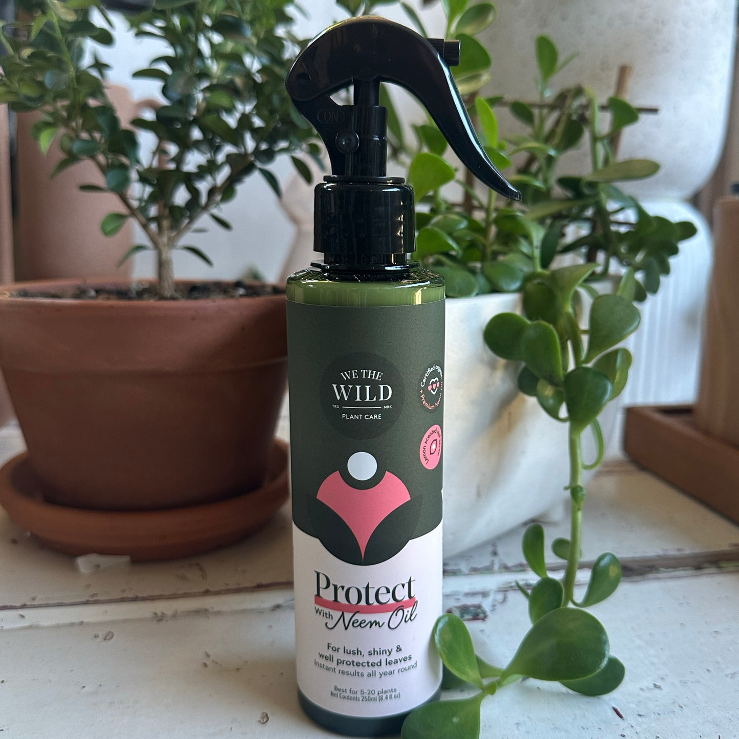 Protect Organic Plant Spray (with Neem Oil)