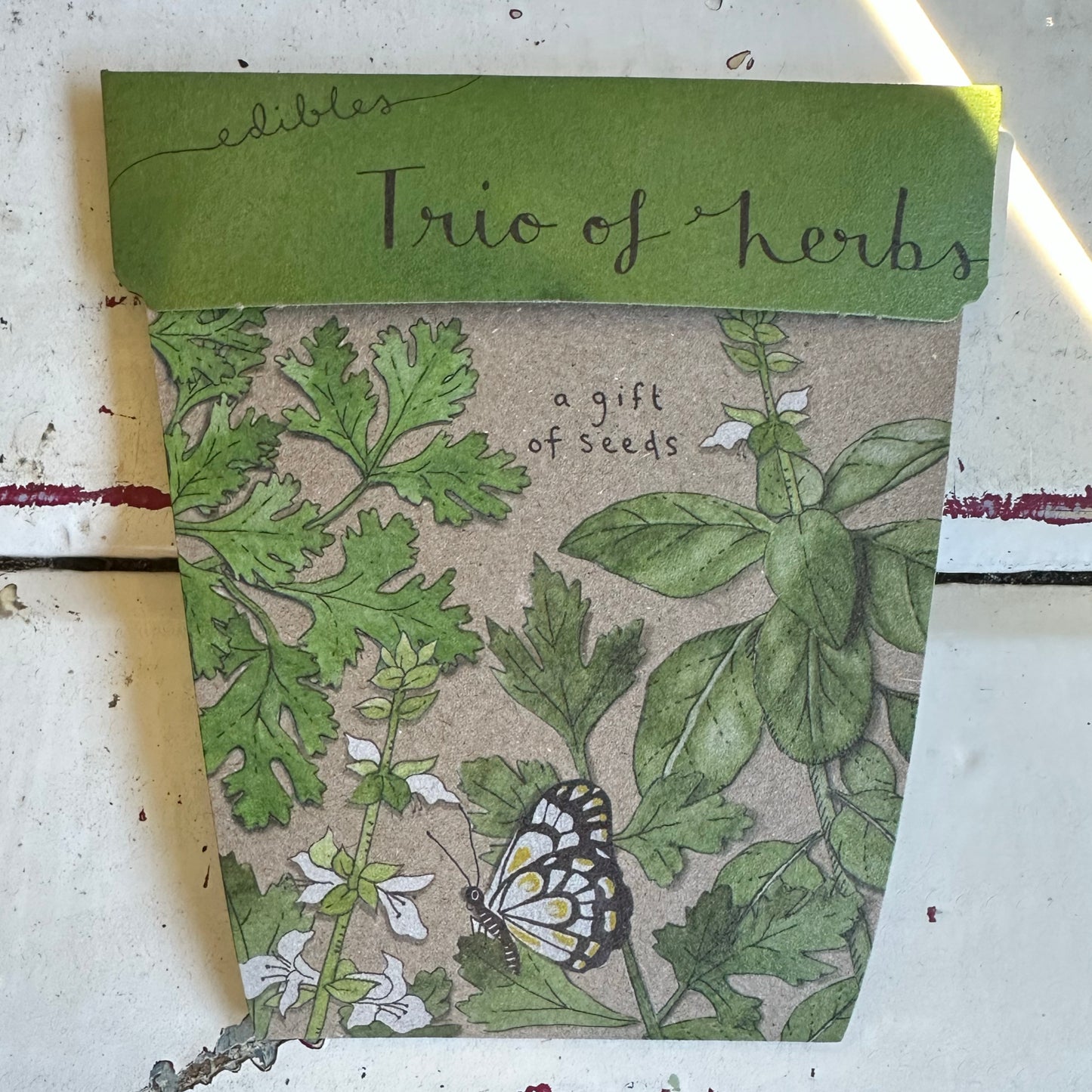 Gift of Seeds Packet