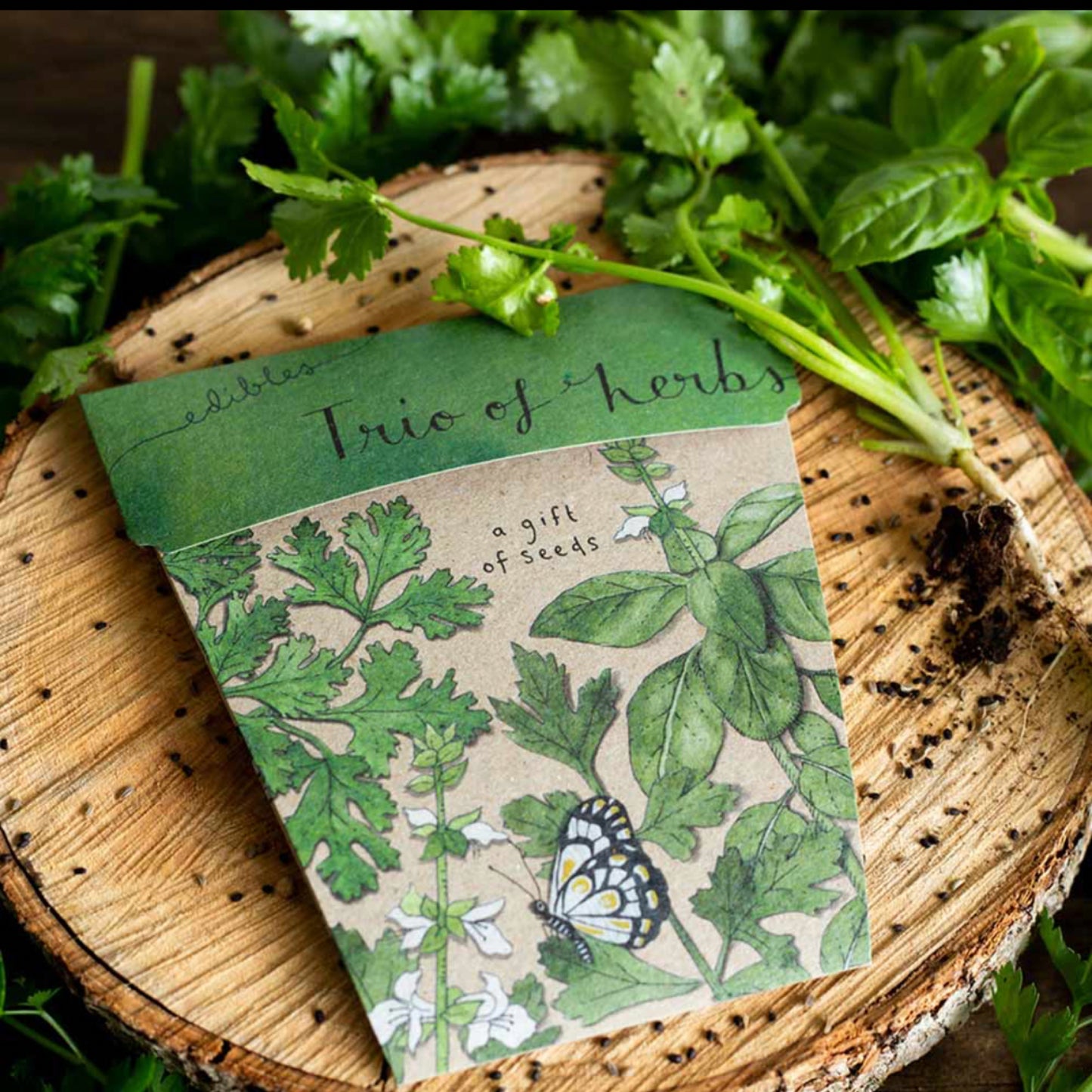 Gift of Seeds Packet