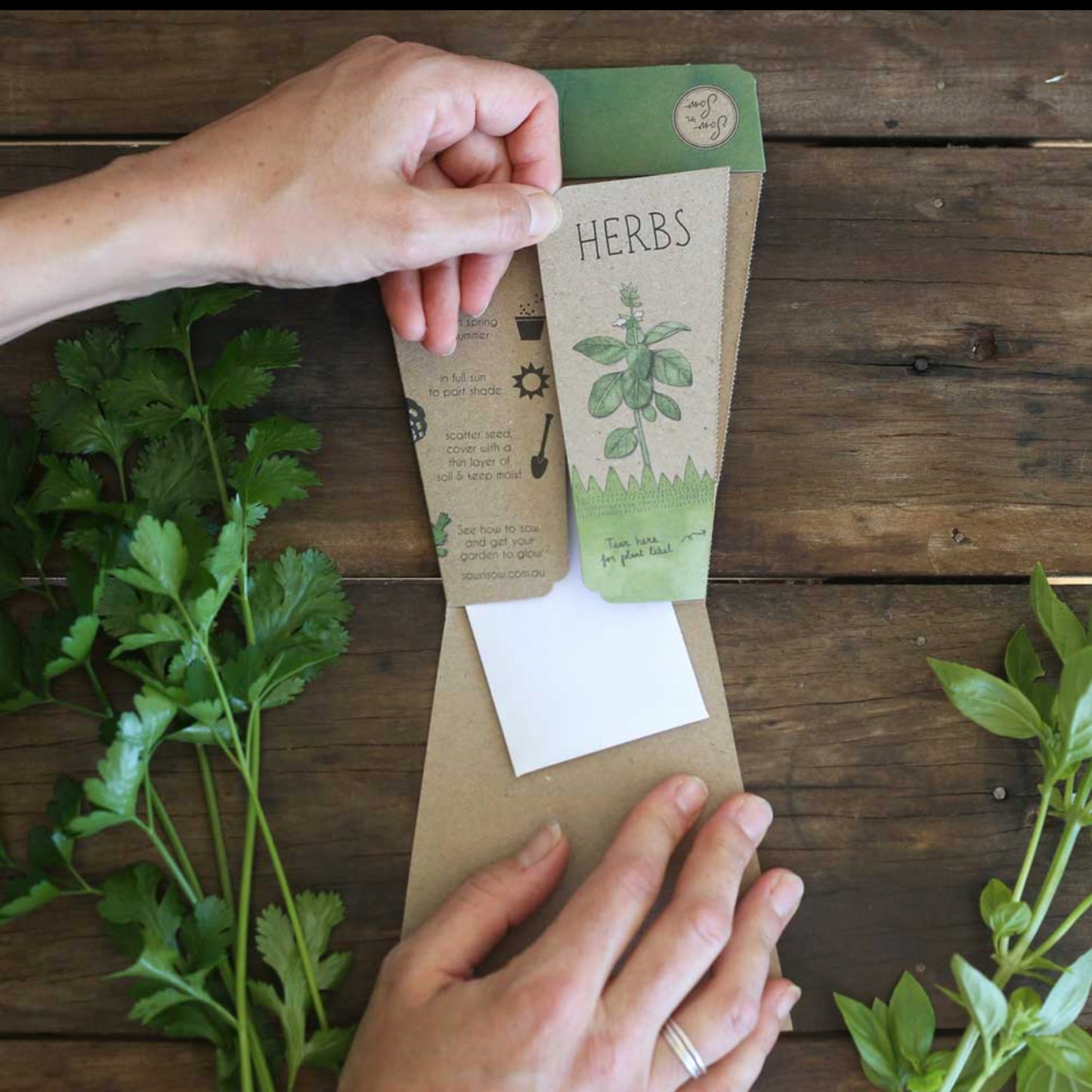 Gift of Seeds Packet