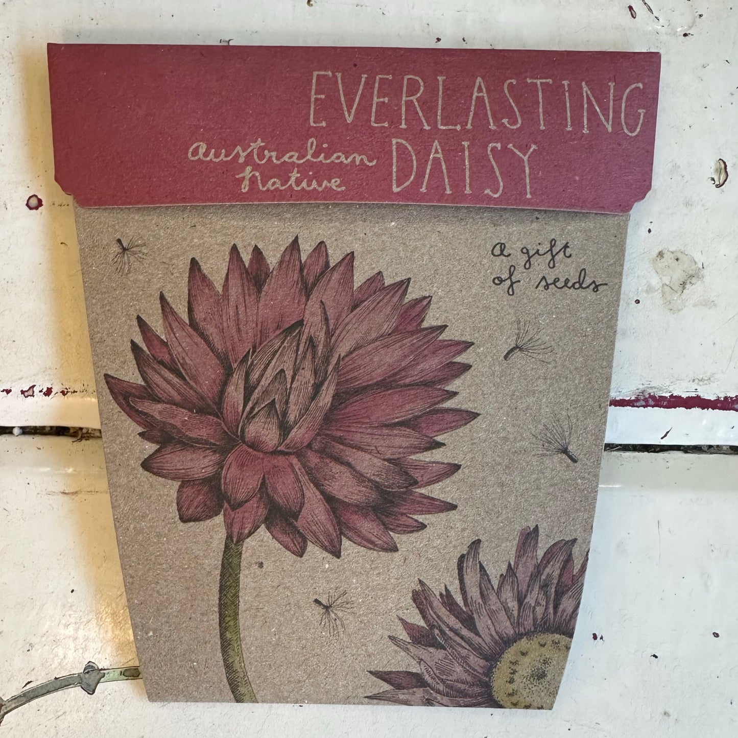 Gift of Seeds Packet