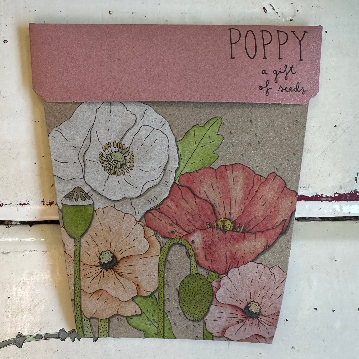 Gift of Seeds Packet