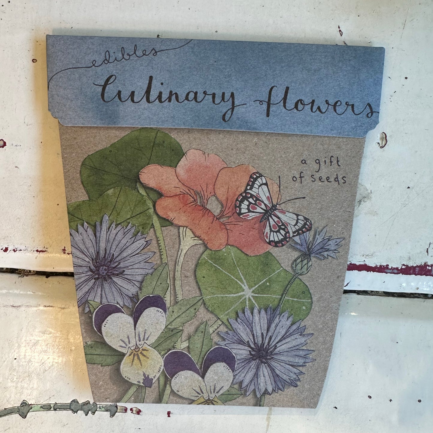 Gift of Seeds Packet