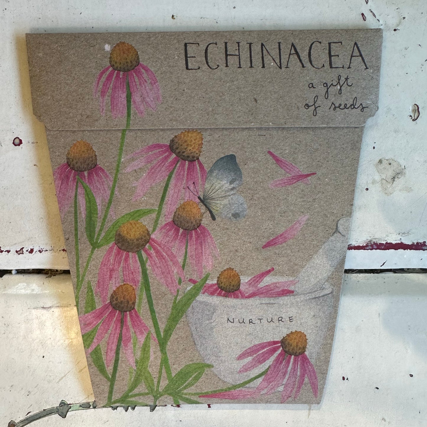 Gift of Seeds Packet