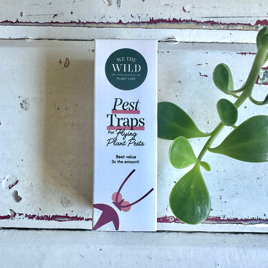 Pest Traps