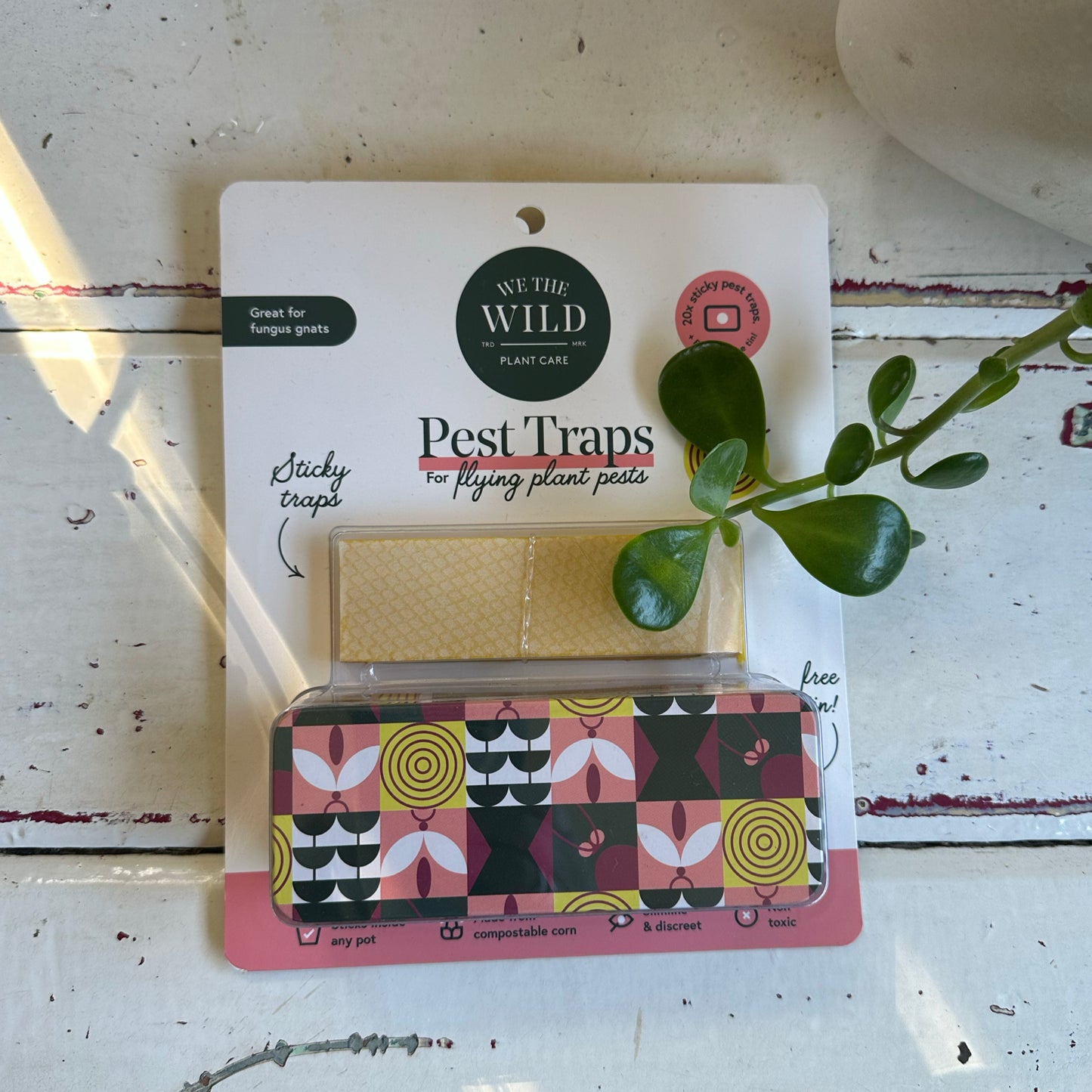 Pest Traps and Storage Tin