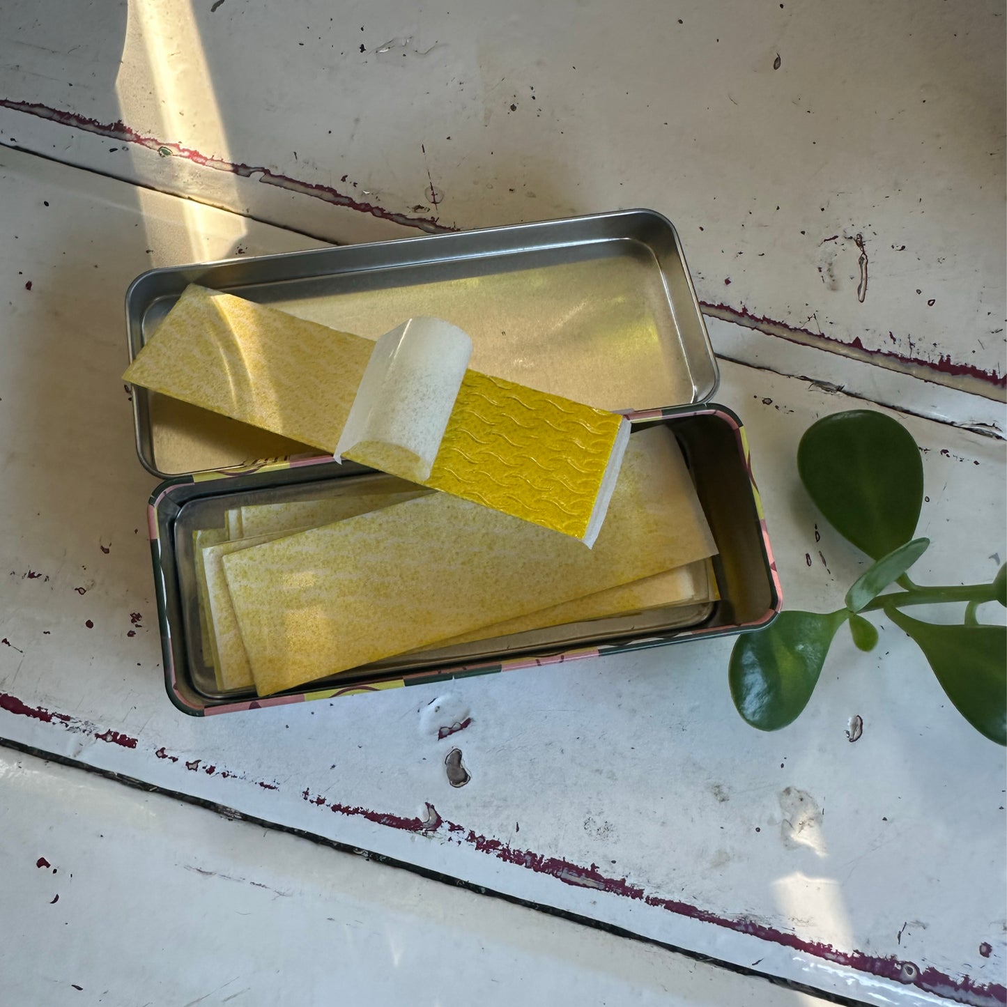 Pest Traps and Storage Tin