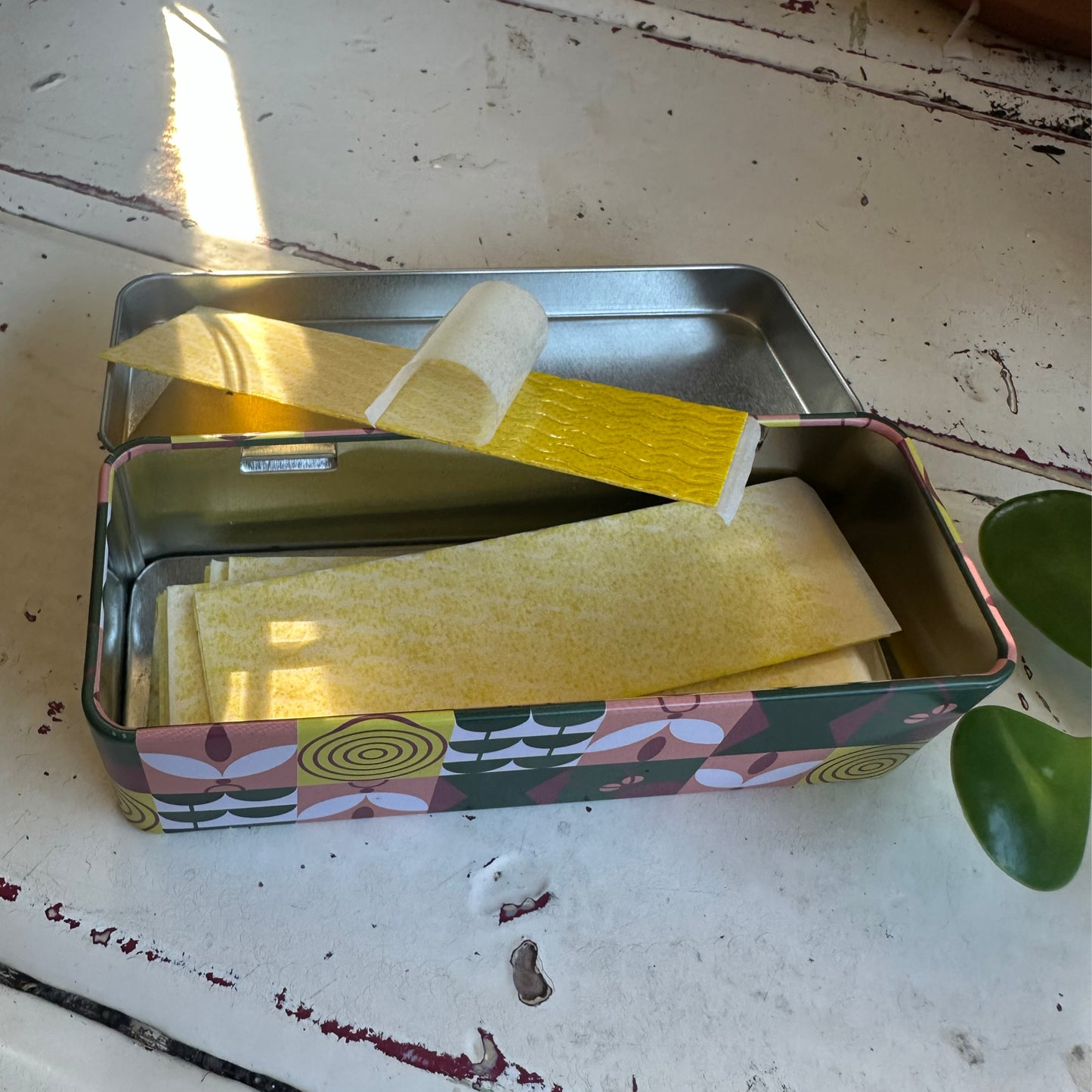 Pest Traps and Storage Tin