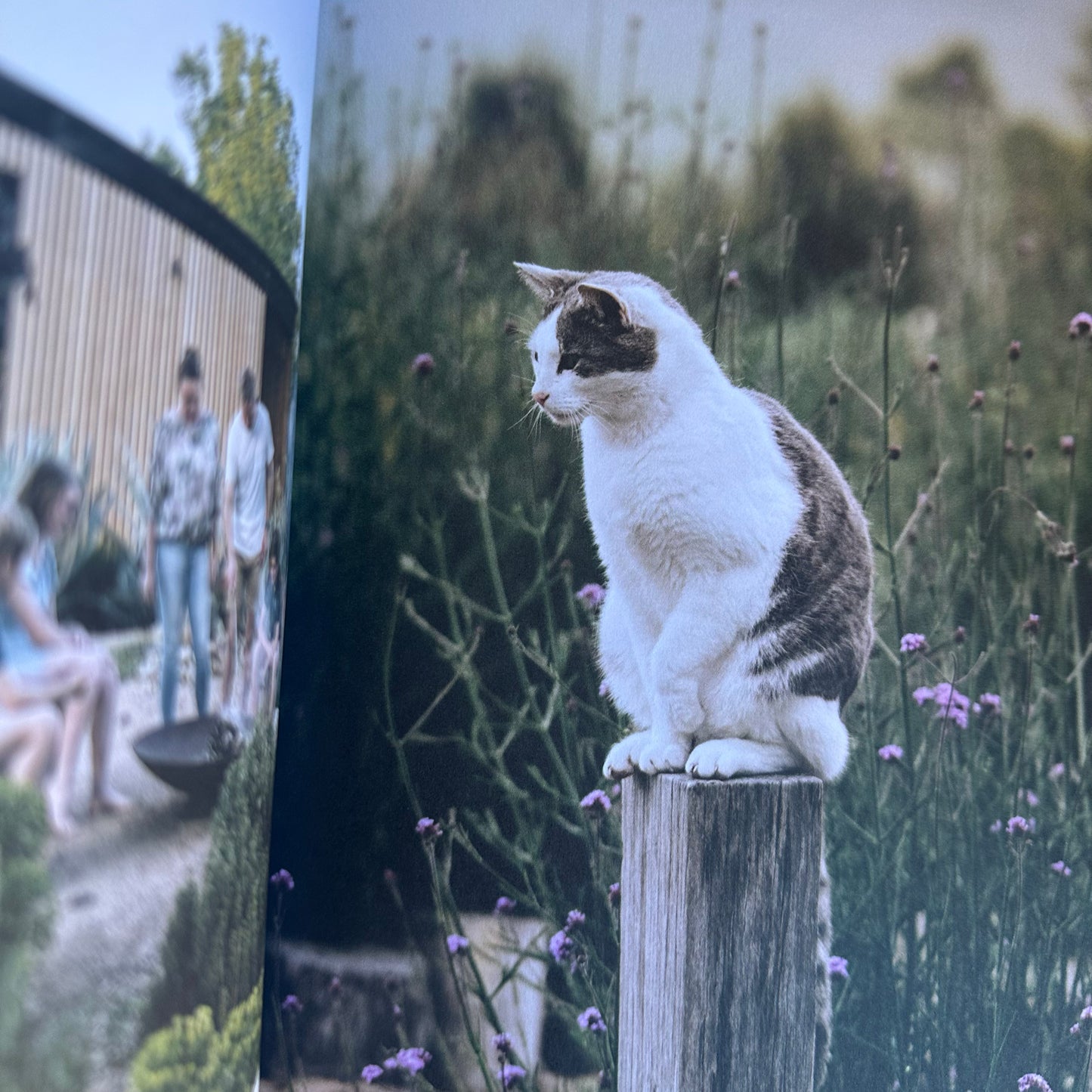 Country Style - Country Gardens in Australia