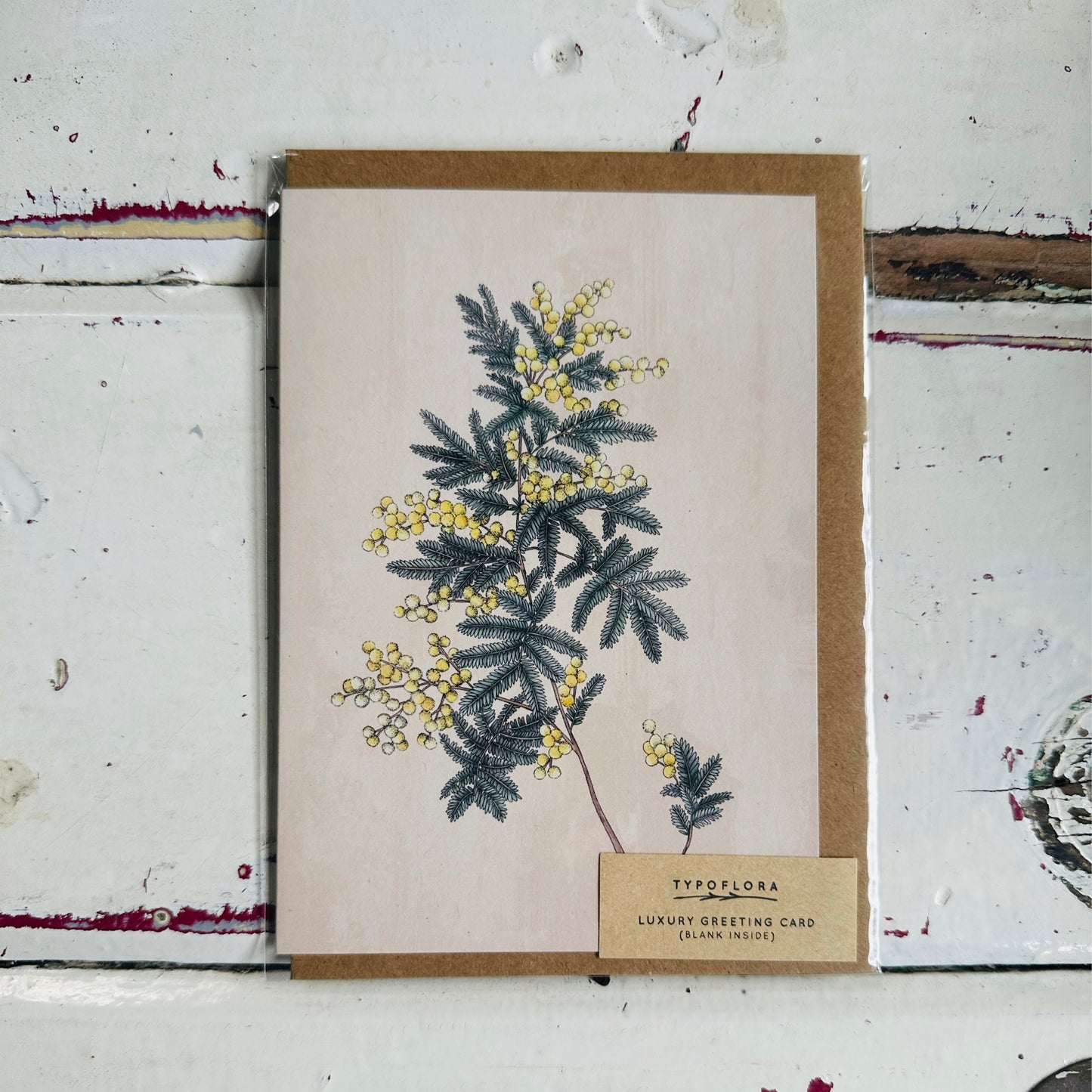 Floral & Foliage Cards