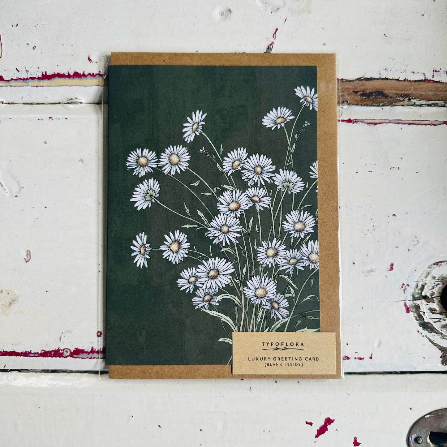 Floral & Foliage Cards