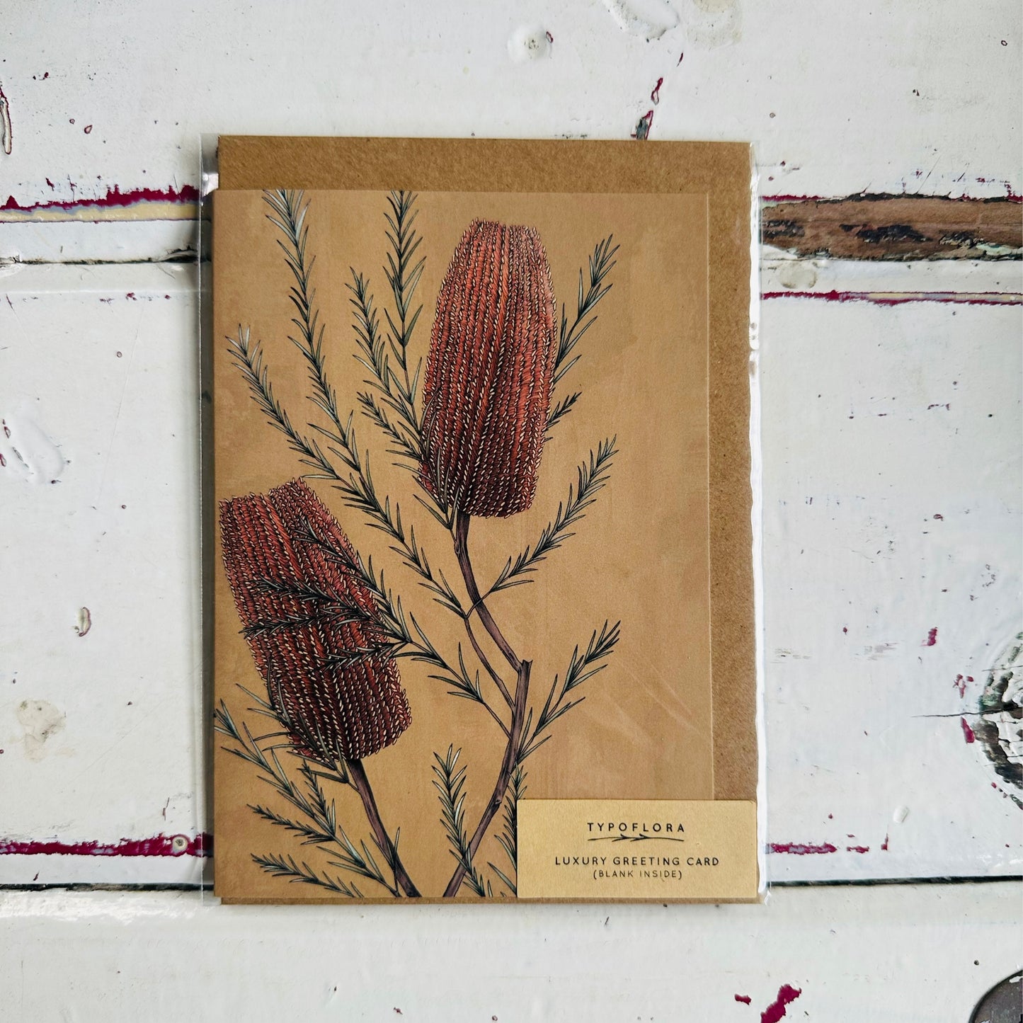 Floral & Foliage Cards