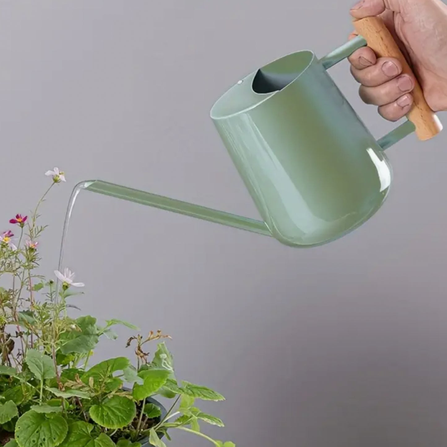 Ella Watering Can