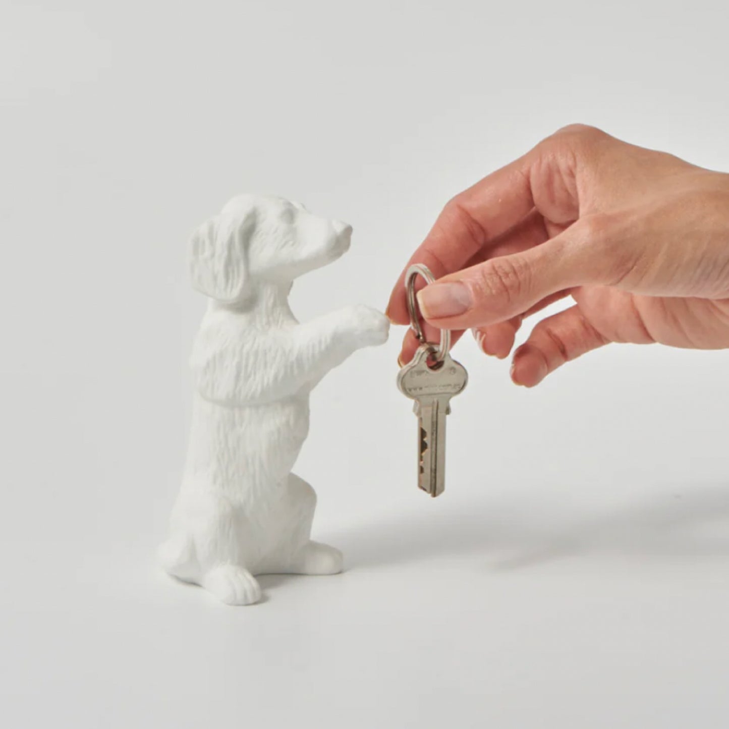 Dachshund Key Holder