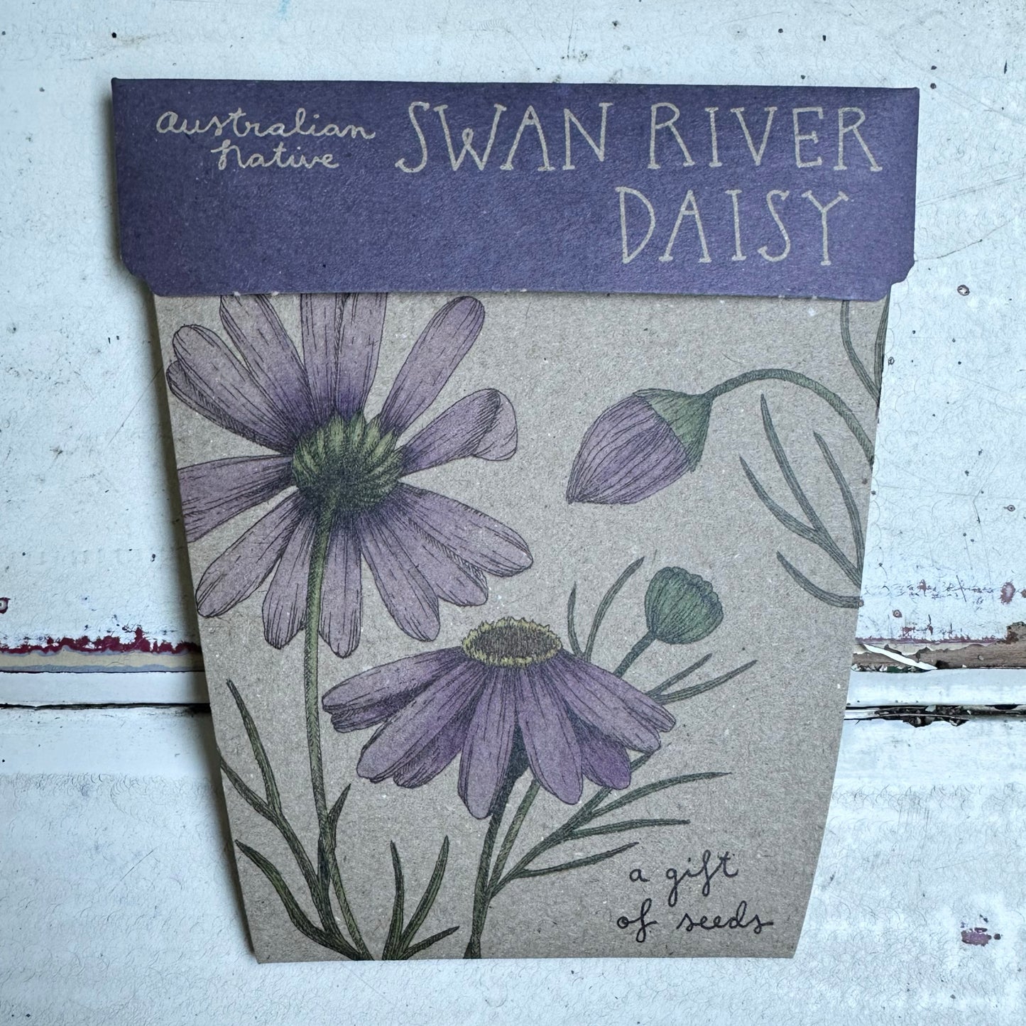 Gift of Seeds Packet