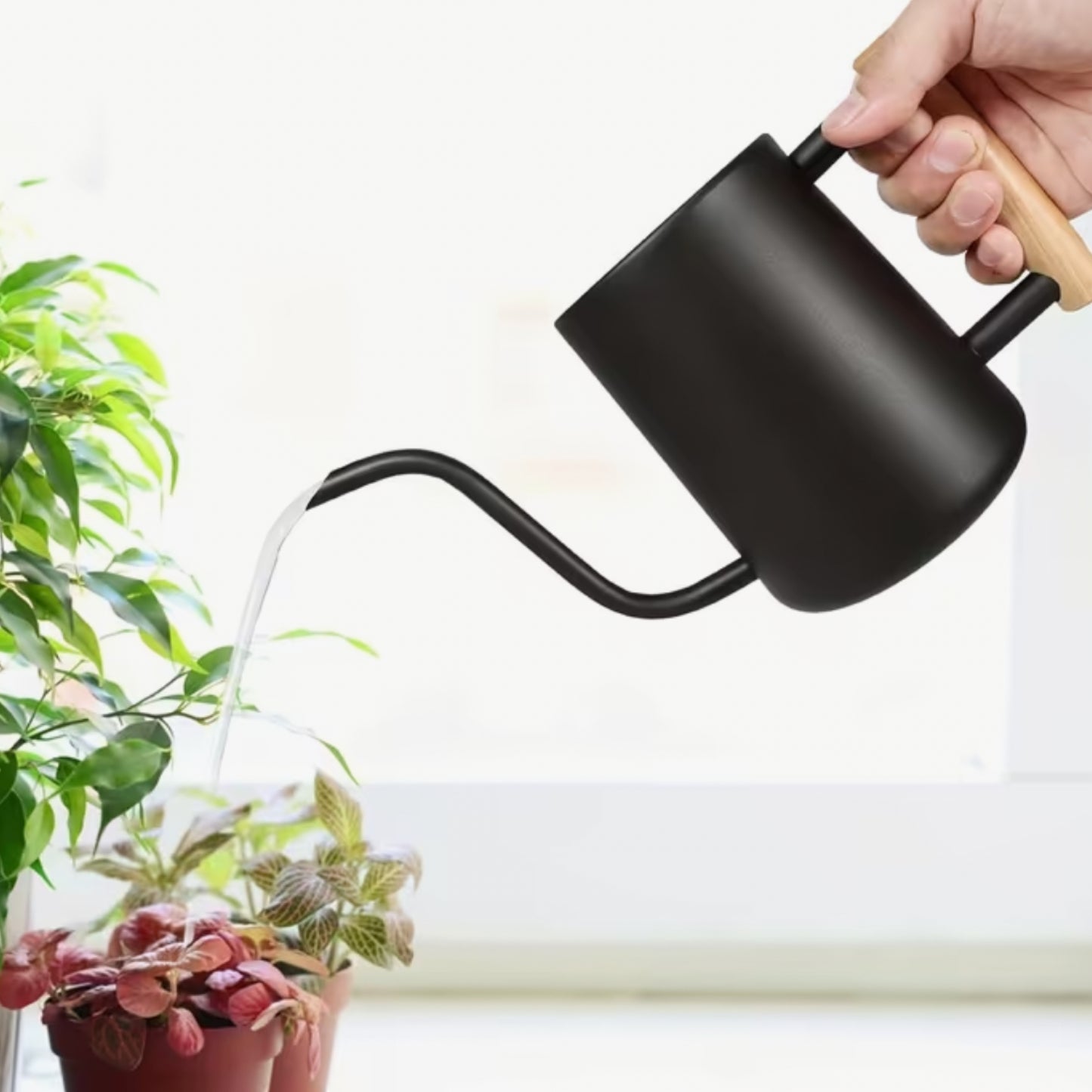 Henry Watering Can