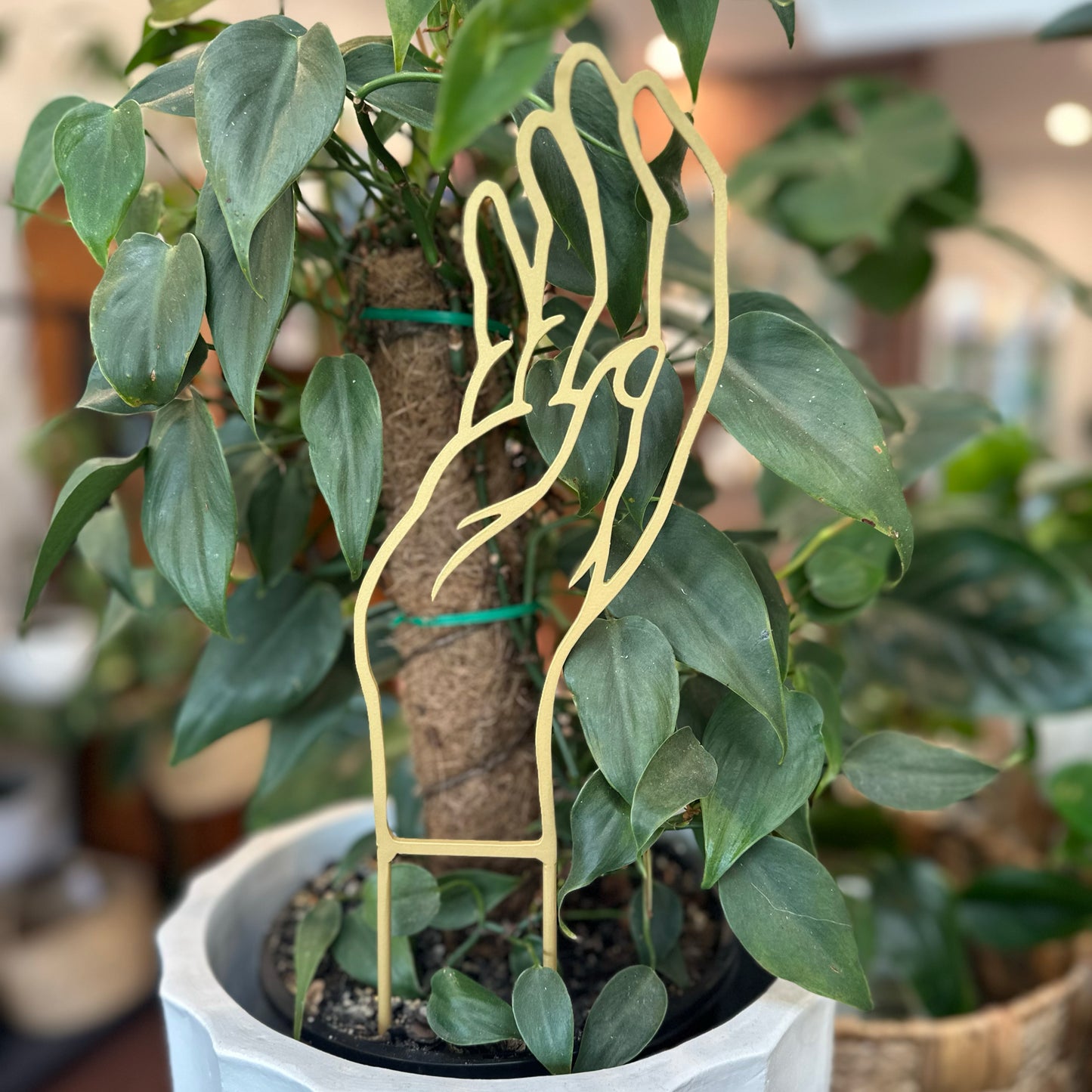 Loving Hands Trellis